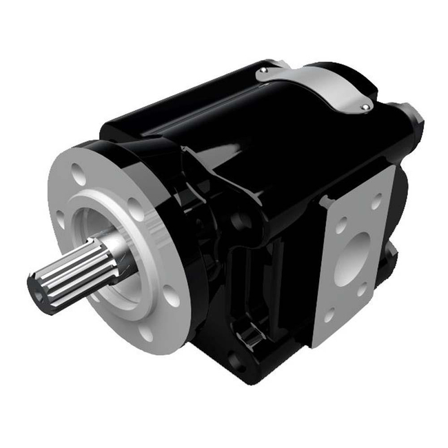 Cast Iron Pumps – PG031 Series